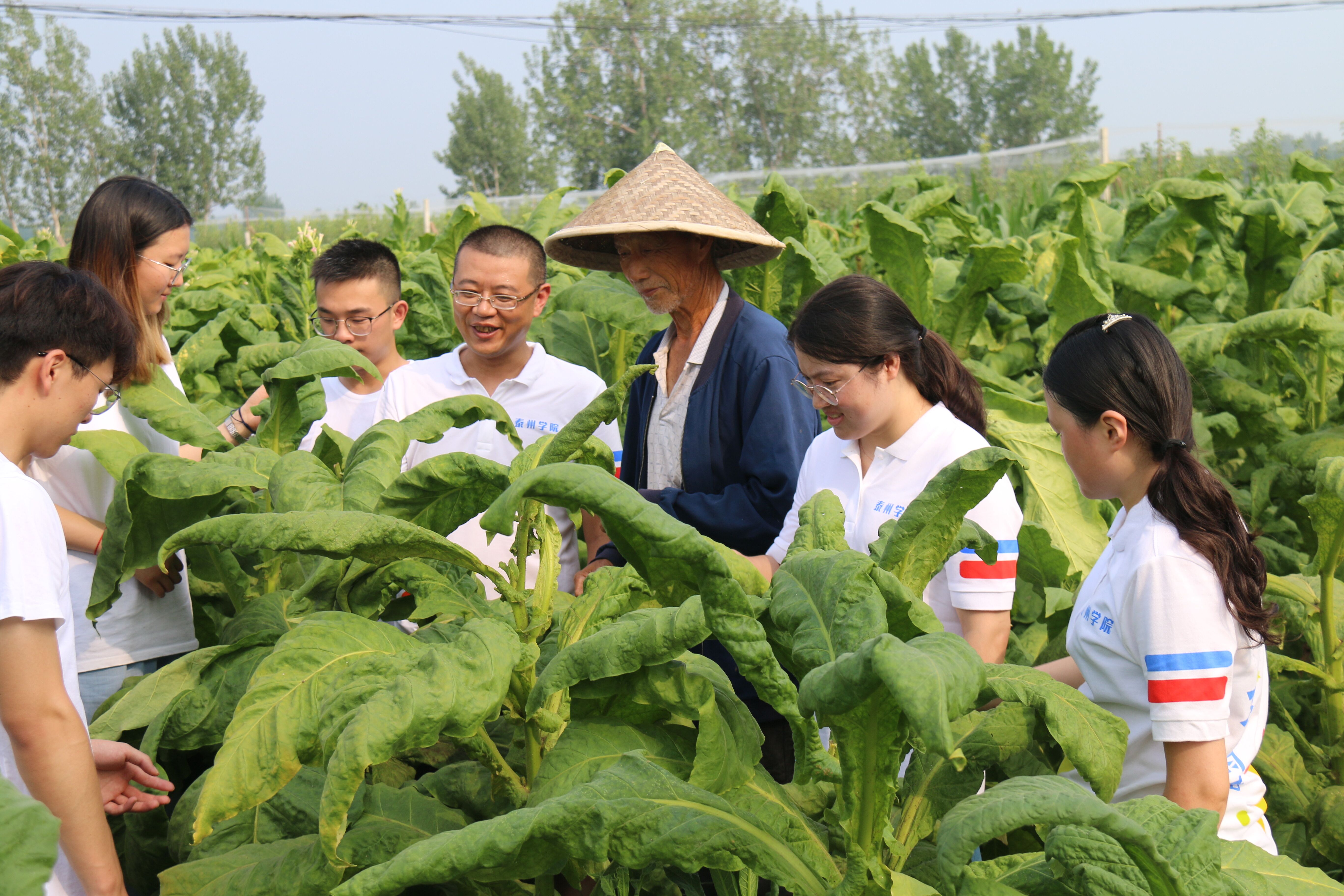 党日活动-社会实践-农田1.jpg 党日活动-社会实践-农田1.jpg