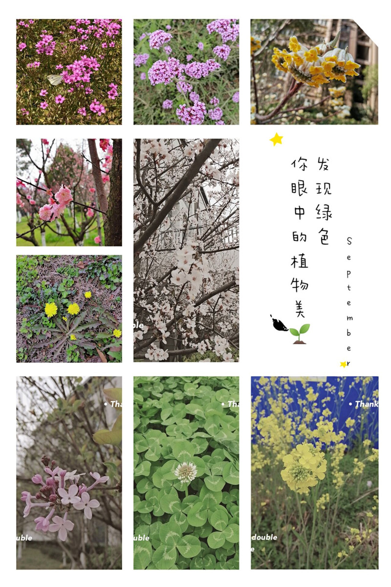 植树节2.jpg 植树节2.jpg